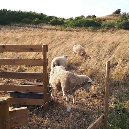 Cosy - 300 Meter From The * Nordenbro Vesteregn