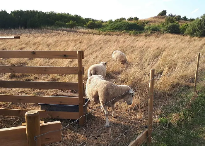 Cosy - 300 Meter From The * Humble